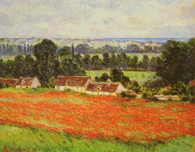  Field of Poppies